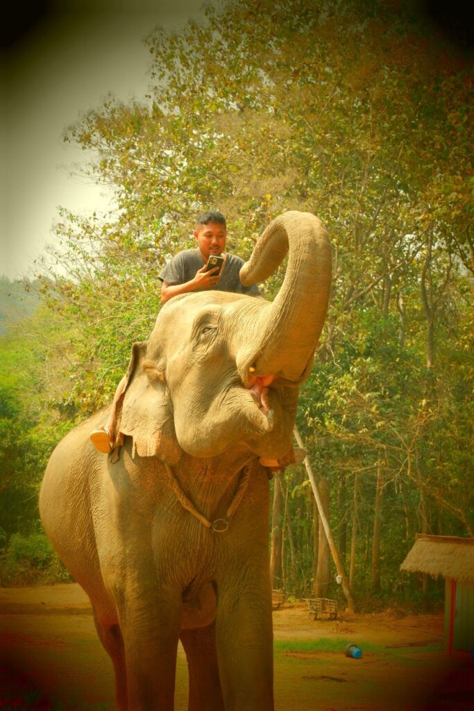 Riding on Elephant